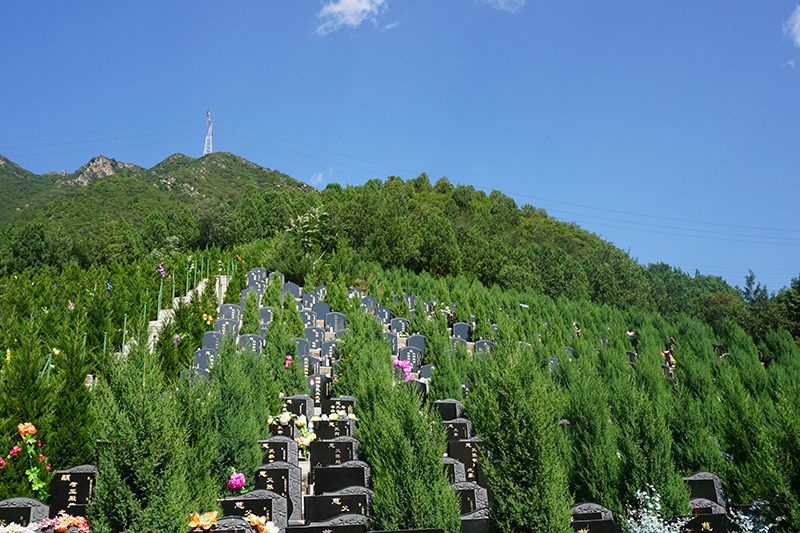 通惠陵有墓葬出售吗（通惠陵价格是多少）